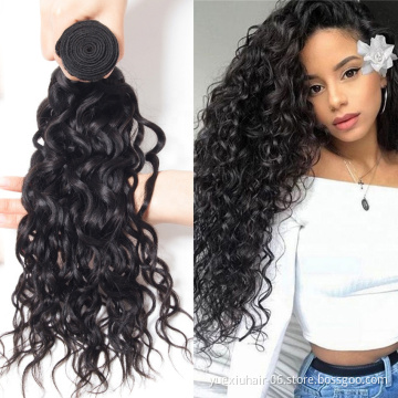Water Wave Curly Virgin Human Hair 3 Hair Bundles With Lace Closure Full Cuticle Aligned Virgin Brazilian  Human Hair